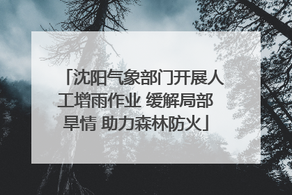 沈阳气象部门开展人工增雨作业 缓解局部旱情 助力森林防火